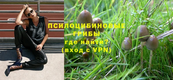 хмурый Баксан